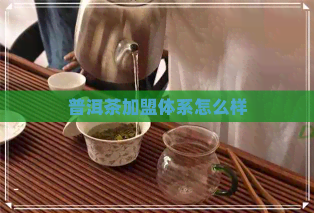 普洱茶加盟体系怎么样