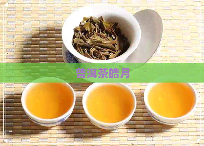 普洱茶皓月