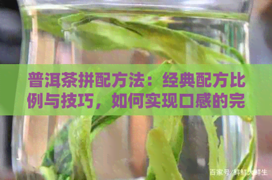 普洱茶拼配方法：经典配方比例与技巧，如何实现口感的完美融合？