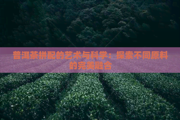 普洱茶拼配的艺术与科学：探索不同原料的完美融合