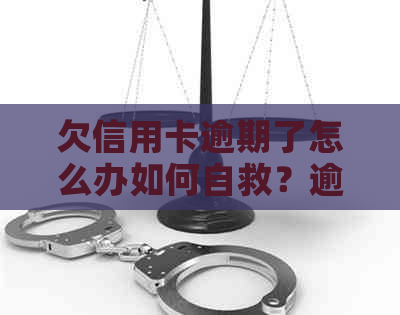 欠信用卡逾期了怎么办如何自救？逾期后的影响与解决办法