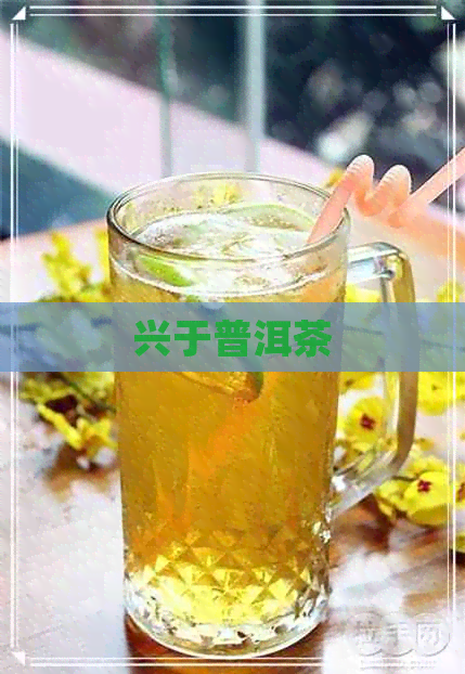 兴于普洱茶