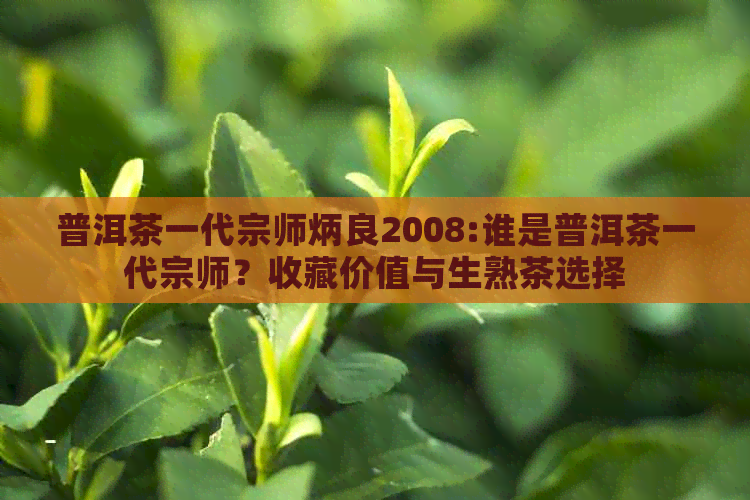 普洱茶一代宗师炳良2008:谁是普洱茶一代宗师？收藏价值与生熟茶选择