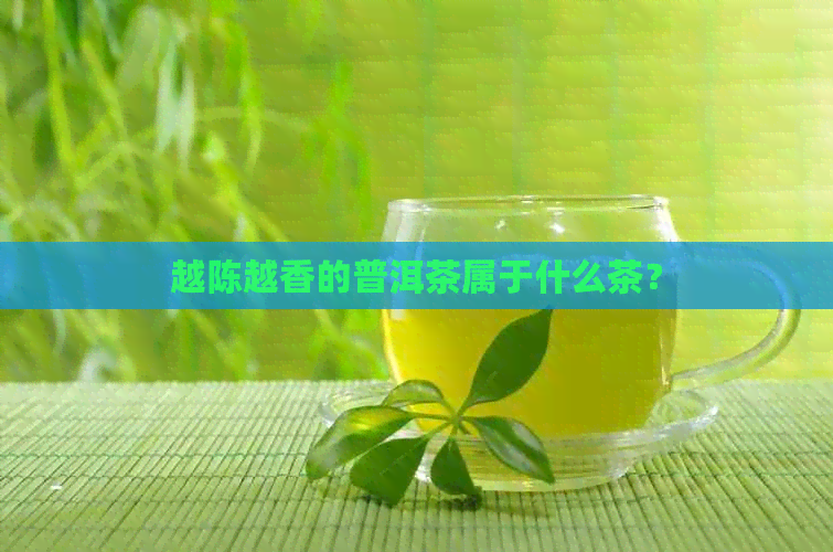 越陈越香的普洱茶属于什么茶？