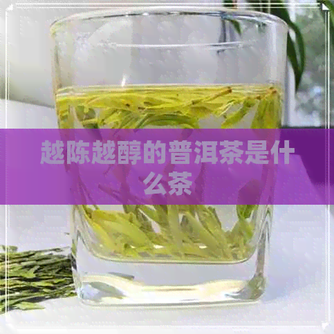 越陈越醇的普洱茶是什么茶