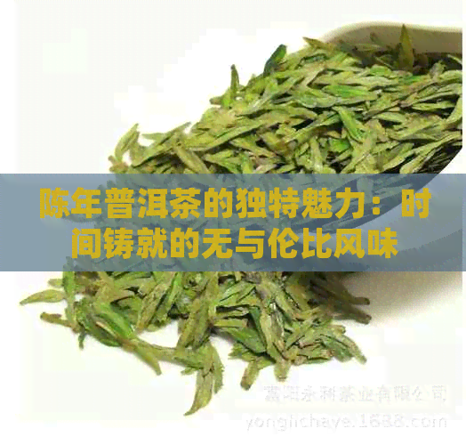 陈年普洱茶的独特魅力：时间铸就的无与伦比风味