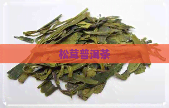 松茸普洱茶