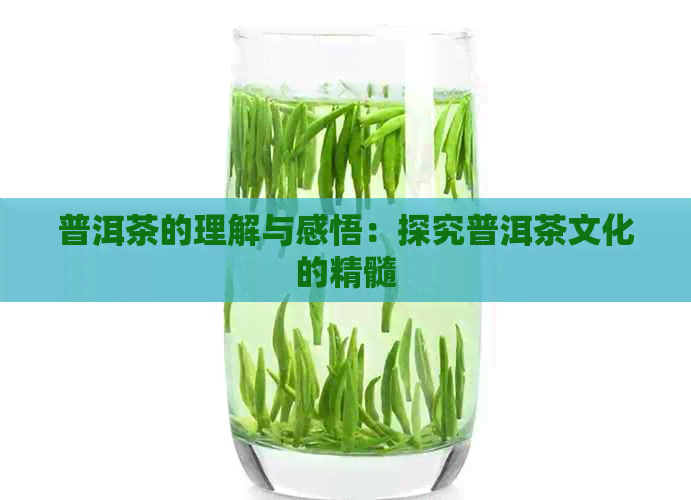 普洱茶的理解与感悟：探究普洱茶文化的精髓