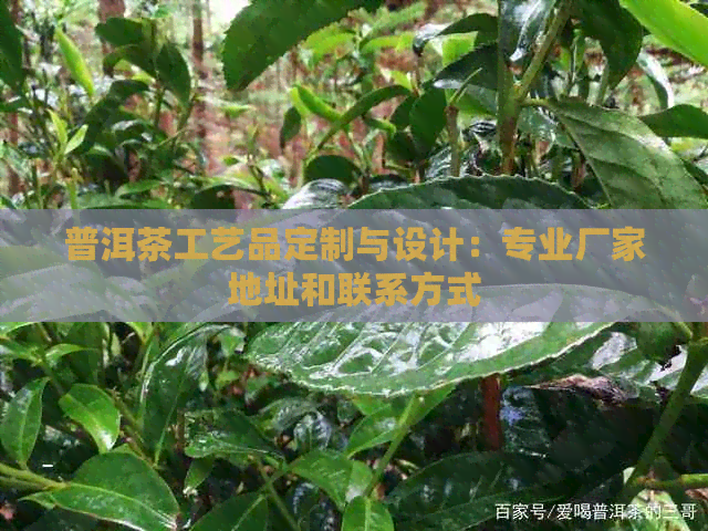 普洱茶工艺品定制与设计：专业厂家地址和联系方式