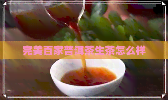 完美百家普洱茶生茶怎么样