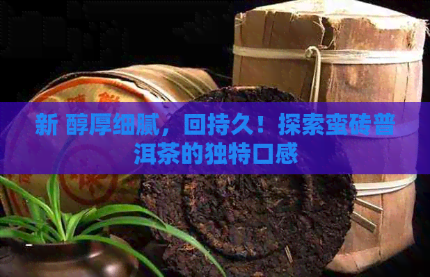 新 醇厚细腻，回持久！探索蛮砖普洱茶的独特口感