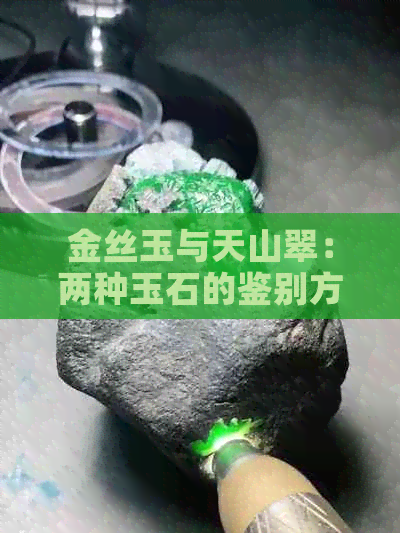 金丝玉与天山翠：两种玉石的鉴别方法和特点比较