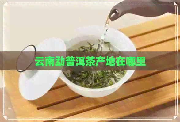 云南勐普洱茶产地在哪里