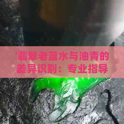 '翡翠老蓝水与油青的差异识别：专业指导'