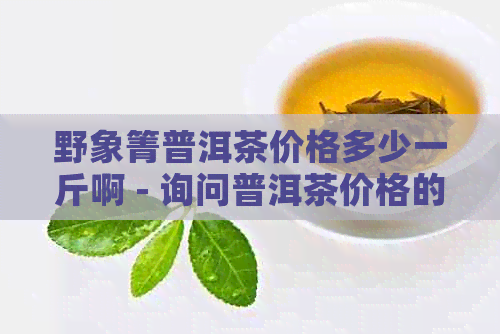 野象箐普洱茶价格多少一斤啊 - 询问普洱茶价格的完整标题。