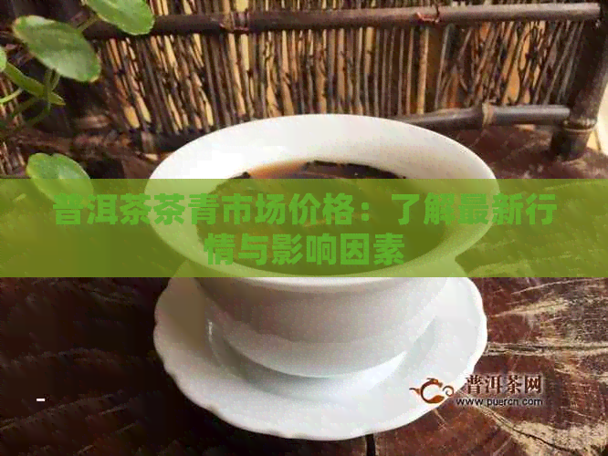 普洱茶茶青市场价格：了解最新行情与影响因素