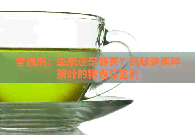 普洱茶：生茶还是熟茶？揭秘这两种茶叶的特点与区别