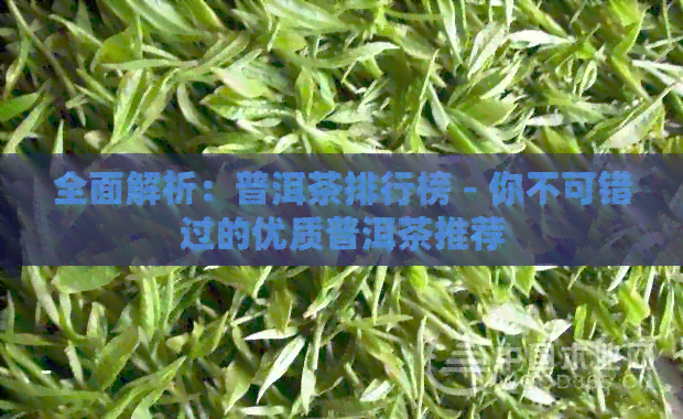 全面解析：普洱茶排行榜 - 你不可错过的优质普洱茶推荐