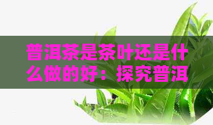 普洱茶是茶叶还是什么做的好：探究普洱茶的制作工艺及其口感特点