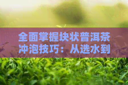 全面掌握块状普洱茶冲泡技巧：从选水到冲泡，了解每一步的要领