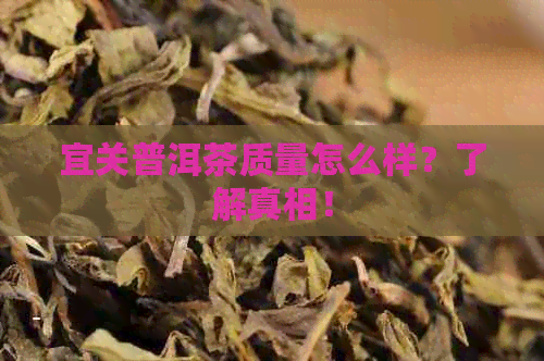 宜关普洱茶质量怎么样？了解真相！