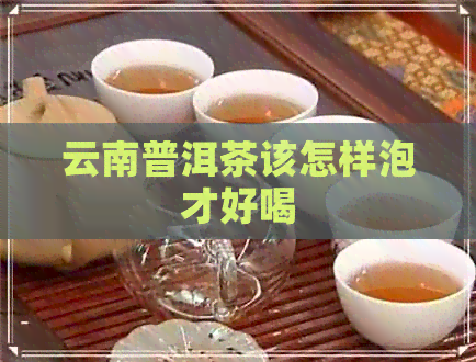 云南普洱茶该怎样泡才好喝