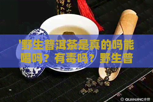 '野生普洱茶是真的吗能喝吗？有吗？野生普洱茶是什么样的？'