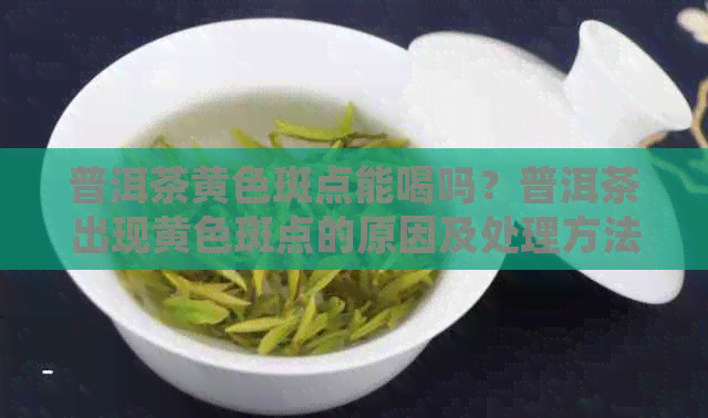 普洱茶黄色斑点能喝吗？普洱茶出现黄色斑点的原因及处理方法。