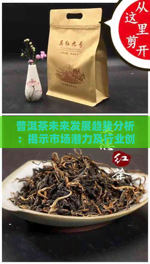 普洱茶未来发展趋势分析：揭示市场潜力及行业创新方向