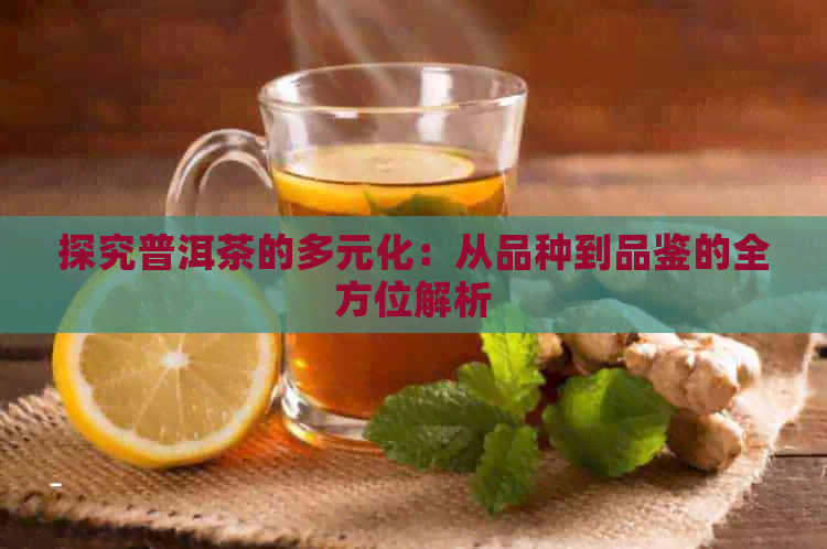 探究普洱茶的多元化：从品种到品鉴的全方位解析