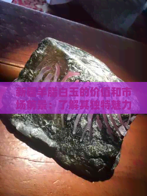 新疆羊脂白玉的价值和市场前景：了解其独特魅力与投资潜力