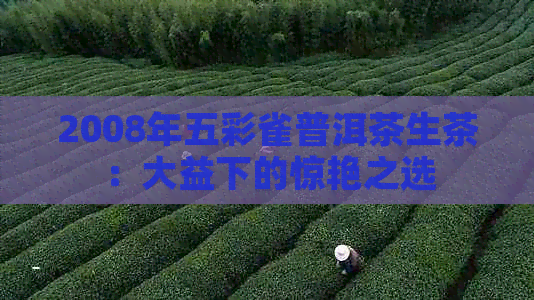 2008年五彩雀普洱茶生茶：大益下的惊艳之选