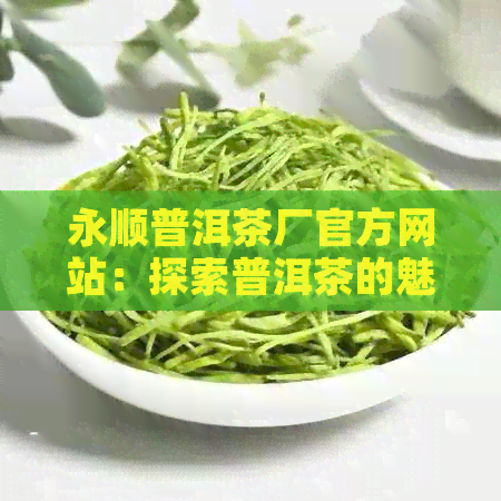 永顺普洱茶厂官方网站：探索普洱茶的魅力，了解生产过程与品质保证