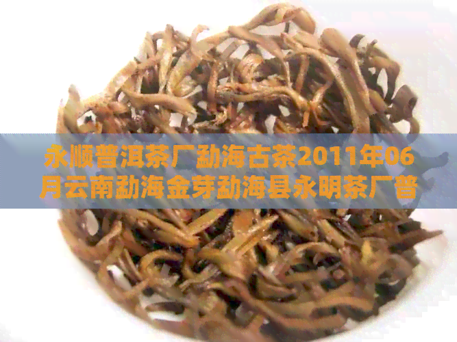 永顺普洱茶厂勐海古茶2011年06月云南勐海金芽勐海县永明茶厂普洱茶砖