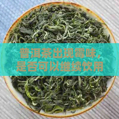 普洱茶出现霉味，是否可以继续饮用？如何处理？