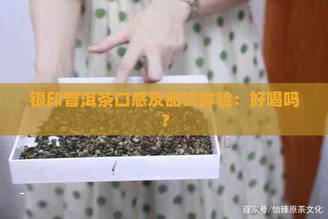 银印普洱茶口感及品饮体验：好喝吗？