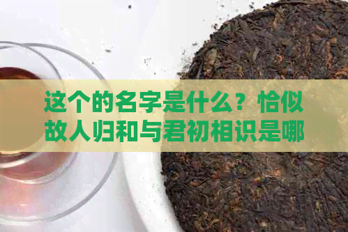 这个的名字是什么？恰似故人归和与君初相识是哪部的名称？