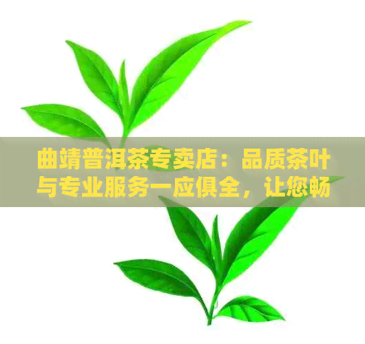 曲靖普洱茶专卖店：品质茶叶与专业服务一应俱全，让您畅享茶文化之旅