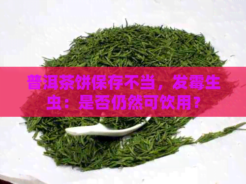 普洱茶饼保存不当，发霉生虫：是否仍然可饮用？