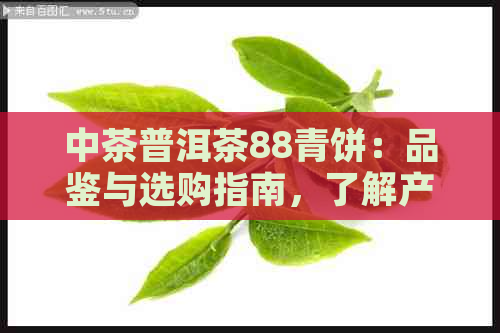 中茶普洱茶88青饼：品鉴与选购指南，了解产地、工艺与口感等全方位信息