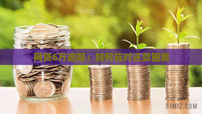 网贷6万逾期：如何应对还款困境