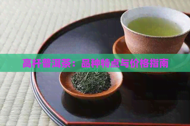 高杆普洱茶：品种特点与价格指南