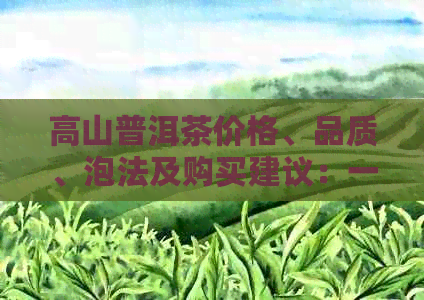 高山普洱茶价格、品质、泡法及购买建议：一次全方位解析