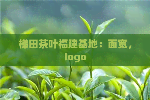 梯田茶叶福建基地：面宽，logo