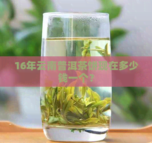 16年云南普洱茶饼现在多少钱一个？