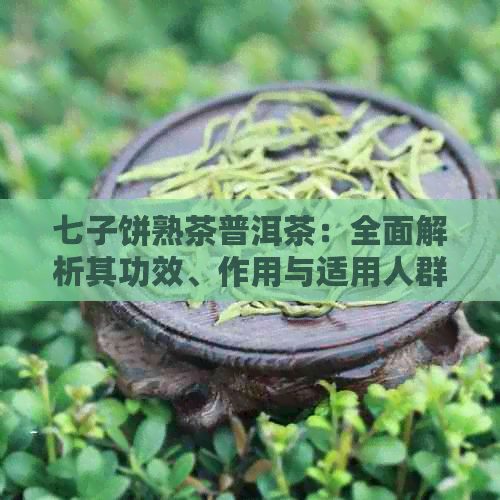 七子饼熟茶普洱茶：全面解析其功效、作用与适用人群，助您了解这一热门茶饮