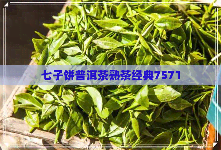 七子饼普洱茶熟茶经典7571