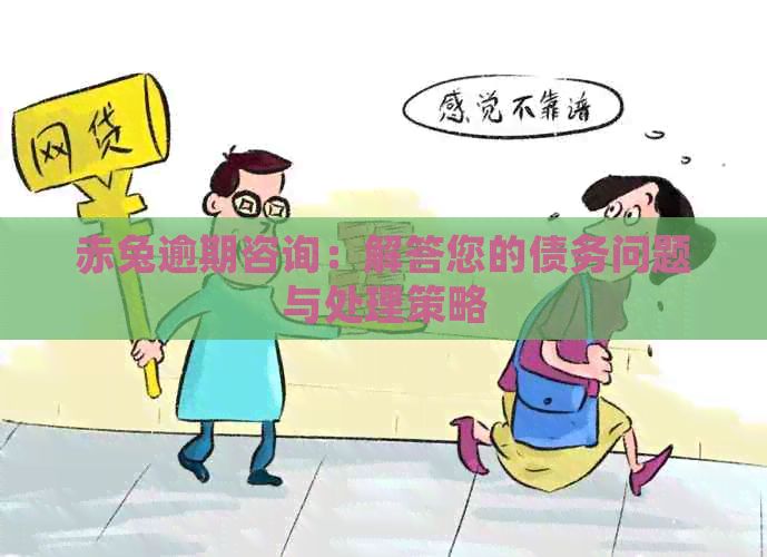 赤兔逾期咨询：解答您的债务问题与处理策略