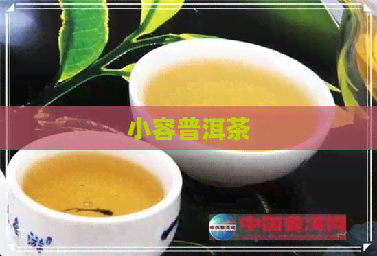 小容普洱茶