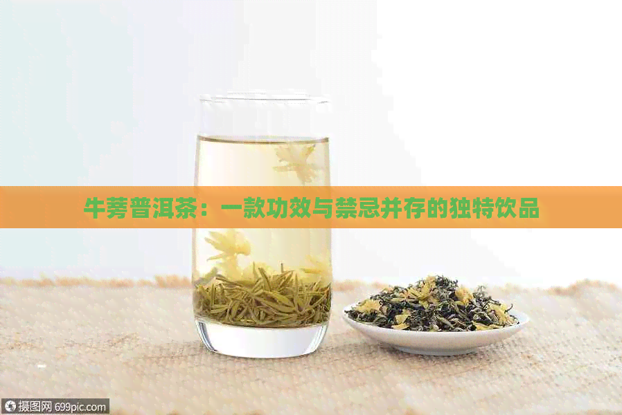 牛蒡普洱茶：一款功效与禁忌并存的独特饮品